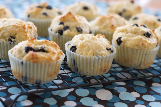 Blueberry Lemon FAGE Muffins Blueberry Lemon FAGE Muffins