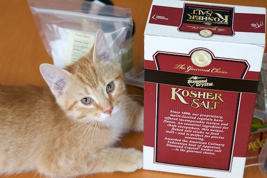 Salt: Does a Kitten Good