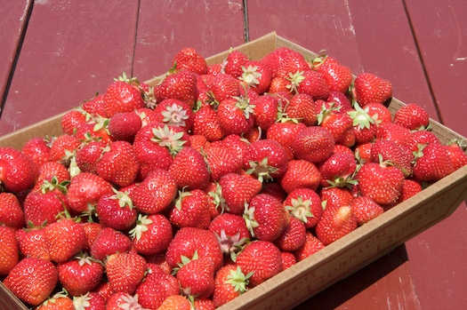 $44 of Strawberries $44 of Strawberries
