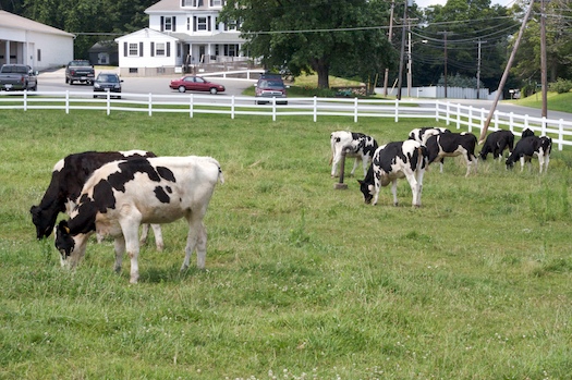 Crescent Ridge Dairy Bar