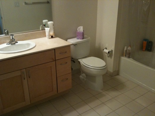 Empty Apartment Bathroom interesting empty apartment bathroom page 119 inside rental ideas Empty Apartment Bathroom interesting empty apartment bathroom page 119 inside rental ideas