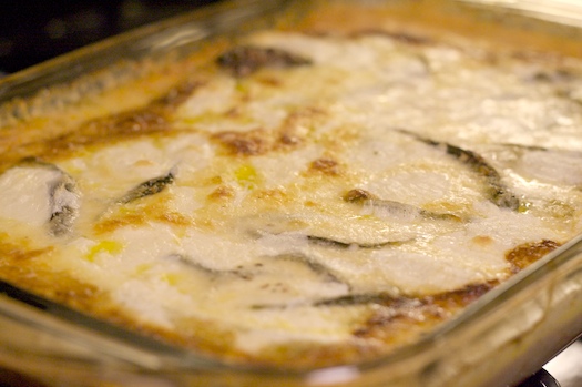 Look Out for Anchovies! Look Out for Anchovies!