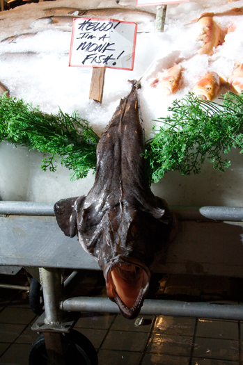 Monk Fish