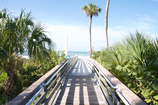 The Path to the Beach